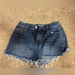 PacSun Blue Denim Shorts